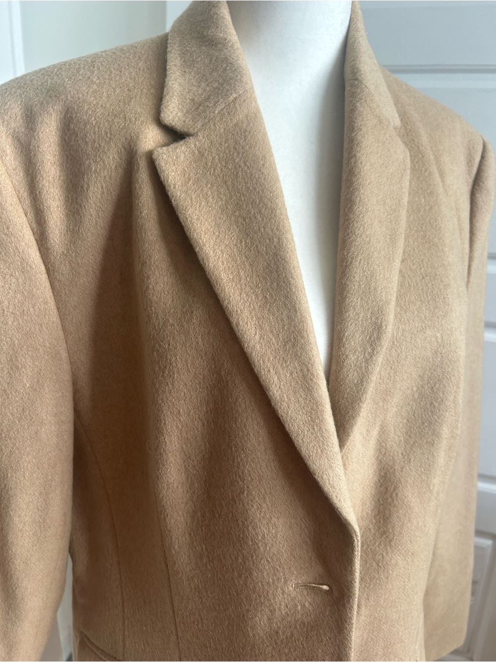 Talbots 100% Pure Camel Hair Blazer Made in Italy Camel Size 14